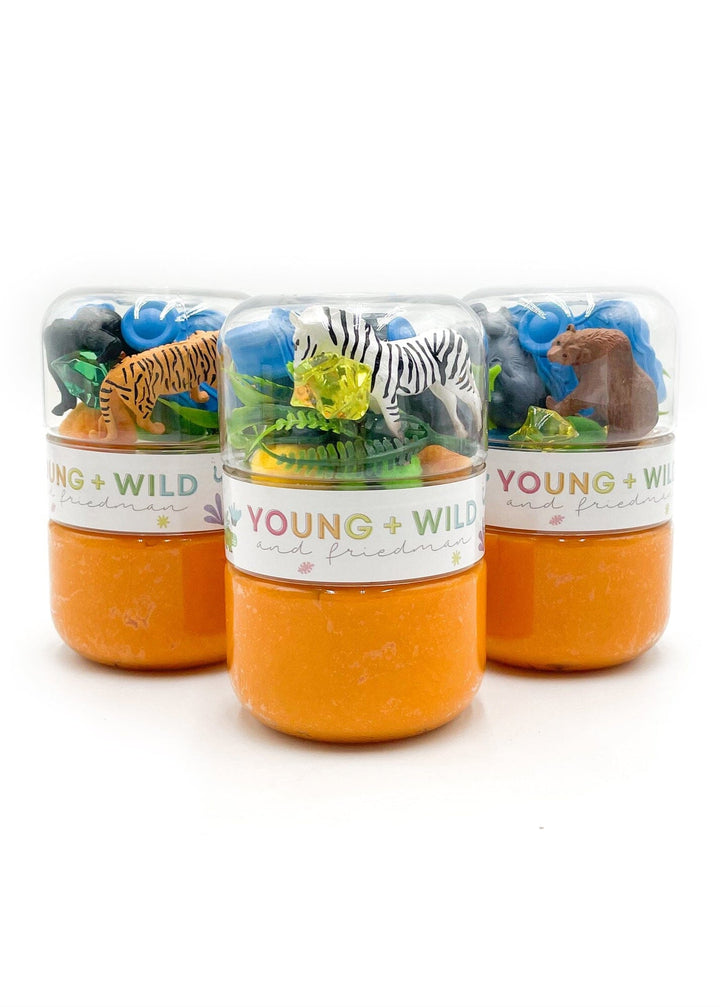 Zoo Grab &amp; Go Dough Jar