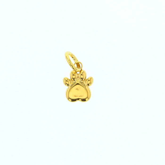 Gold Paw Charm