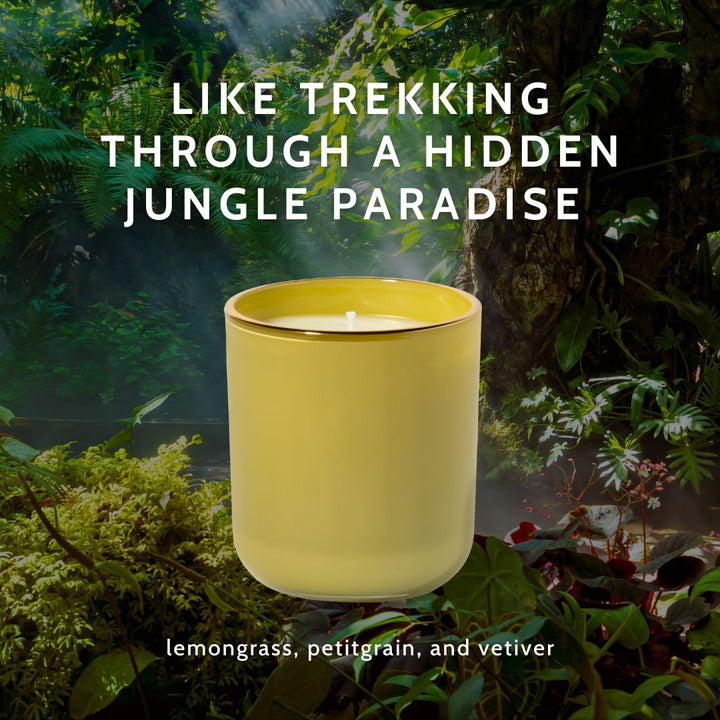 Lost Jungle Candle