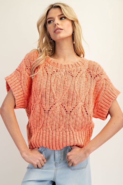 Short Sleeve Sweater Top