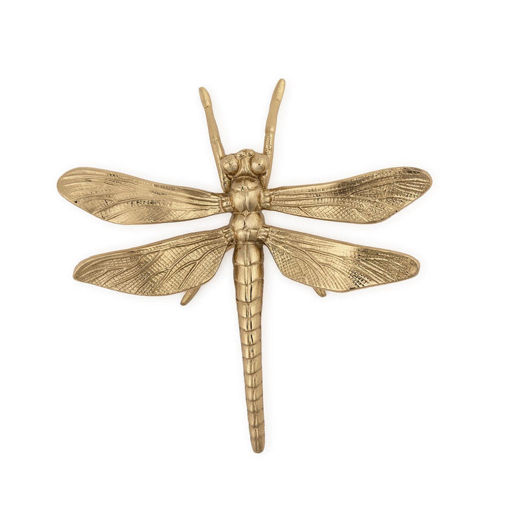Cast brass dragonfly sculpture featuring a polished golden finish, intricate wing venation, and a long segmented abdomen set against a minimalist white background