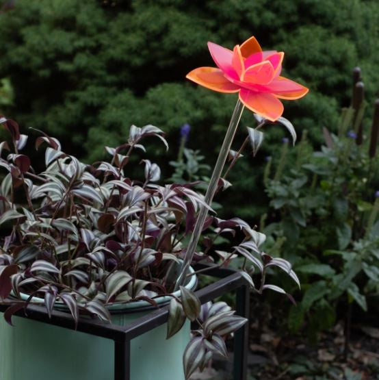 Bright Pink Daffodil Stake