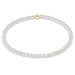 Pearl necklace with a gold clasp on a white background