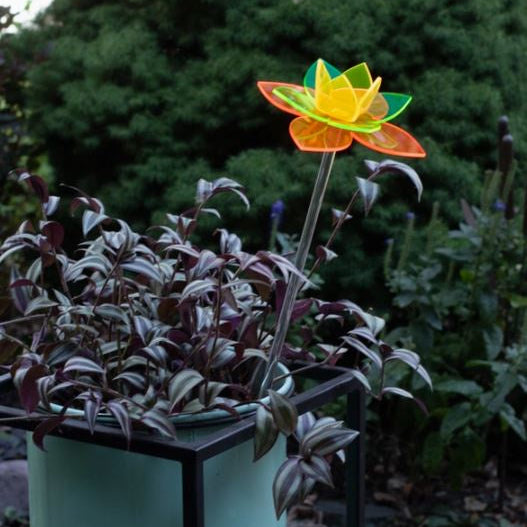 Multi Colored Daffodil Stake - Vivid Daffodil