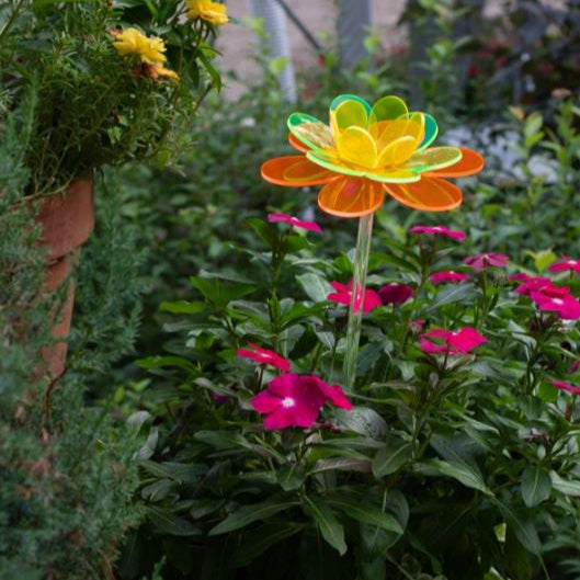 Multicolored Flower Stake - Spectrum Lotus