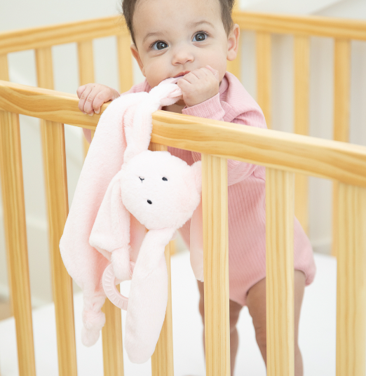Bunny Teether Buddy Blush
